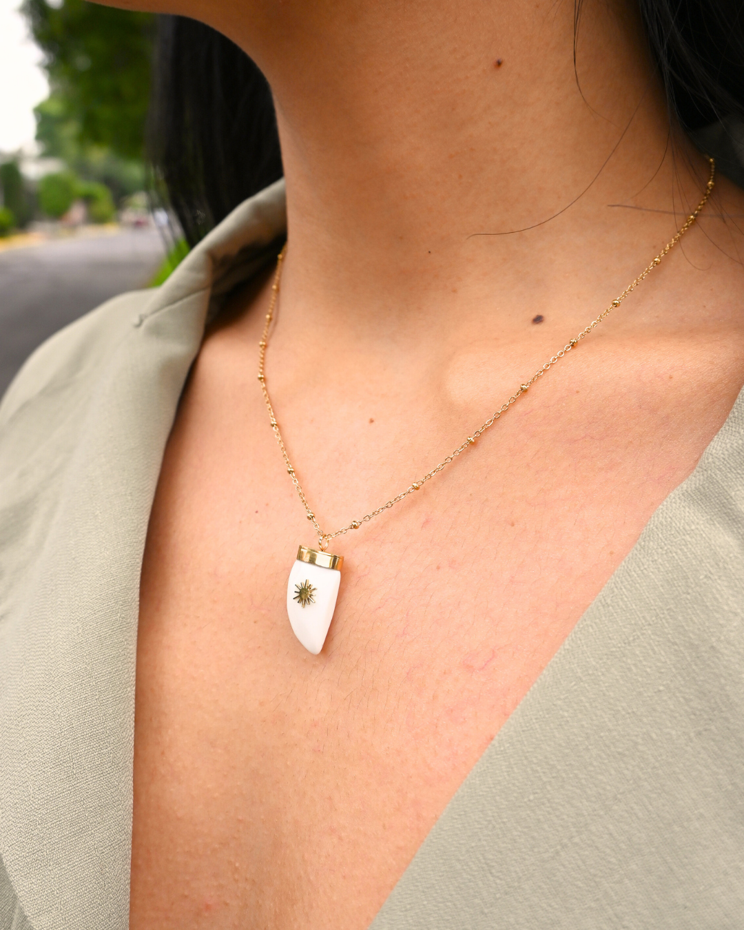 Collar Soft