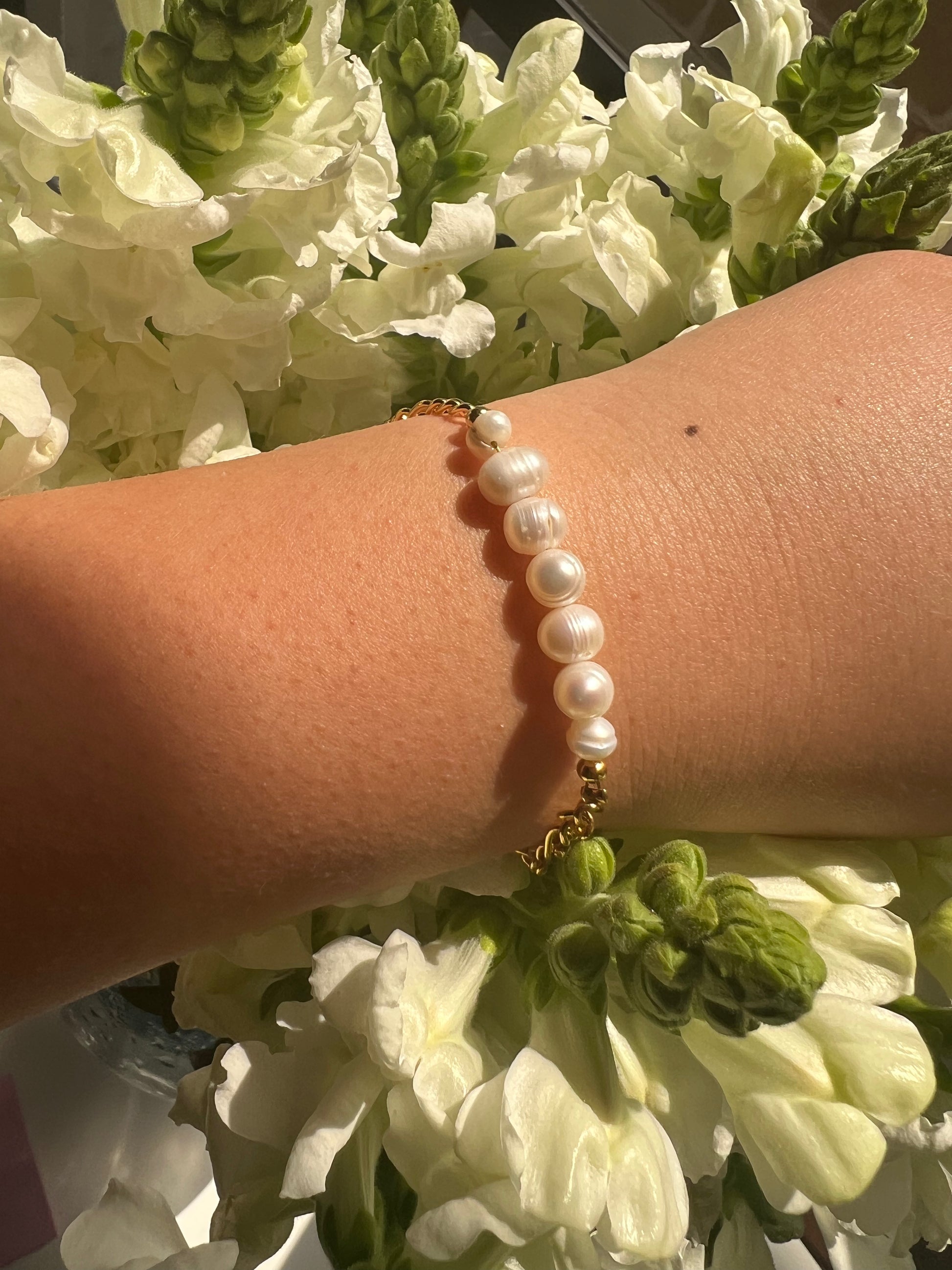Pulsera Ursa