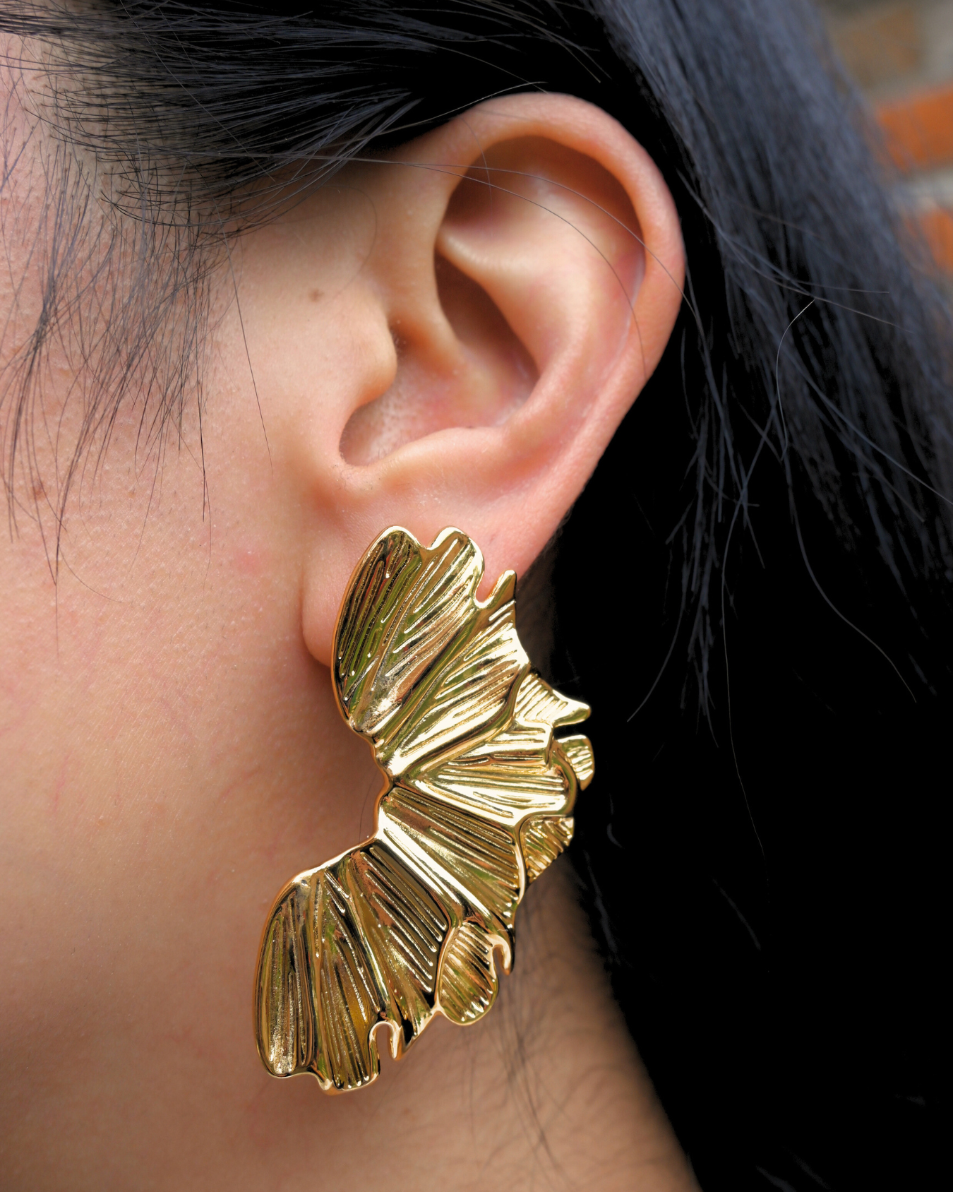 Aretes Zodiaca